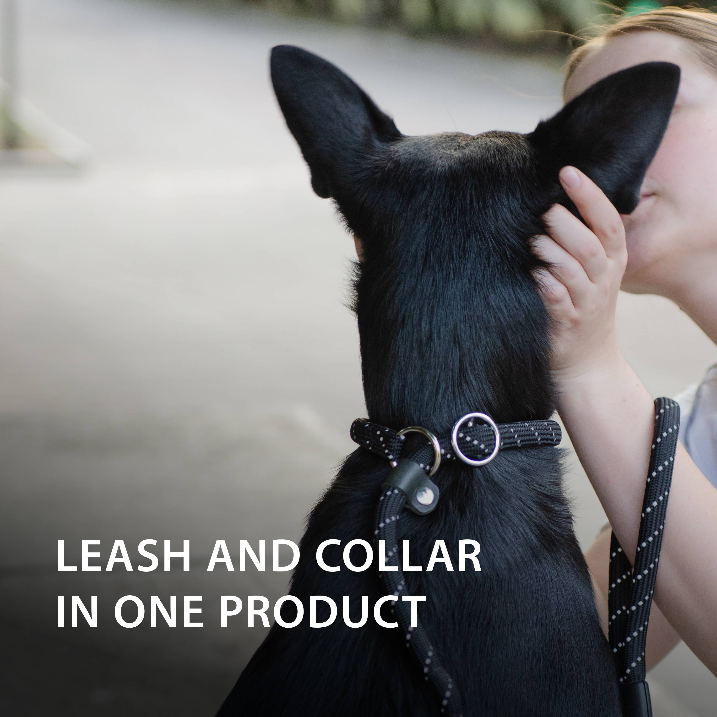 Ferplast - Ferplast Laisse et Collier pour Chien SPORT REFLEX, Laisse réfléchissante avec Collier semi etrangleur Ajustable, en cordon en nylon, Laisse avec - Imagen 8