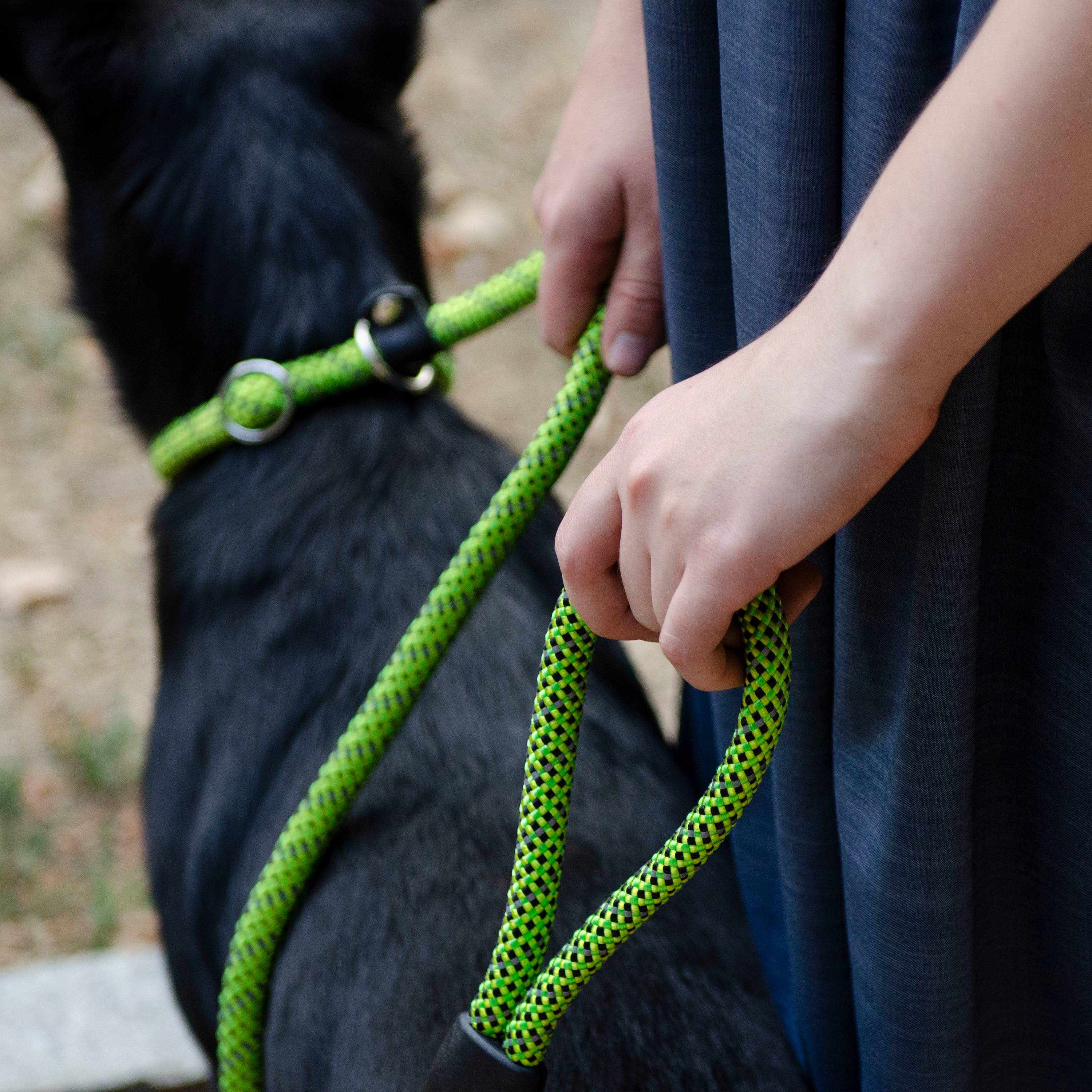 Ferplast - Ferplast Laisse et Collier pour Chien SPORT REFLEX, Laisse réfléchissante avec Collier semi etrangleur Ajustable, en cordon en nylon, Laisse avec - Imagen 7