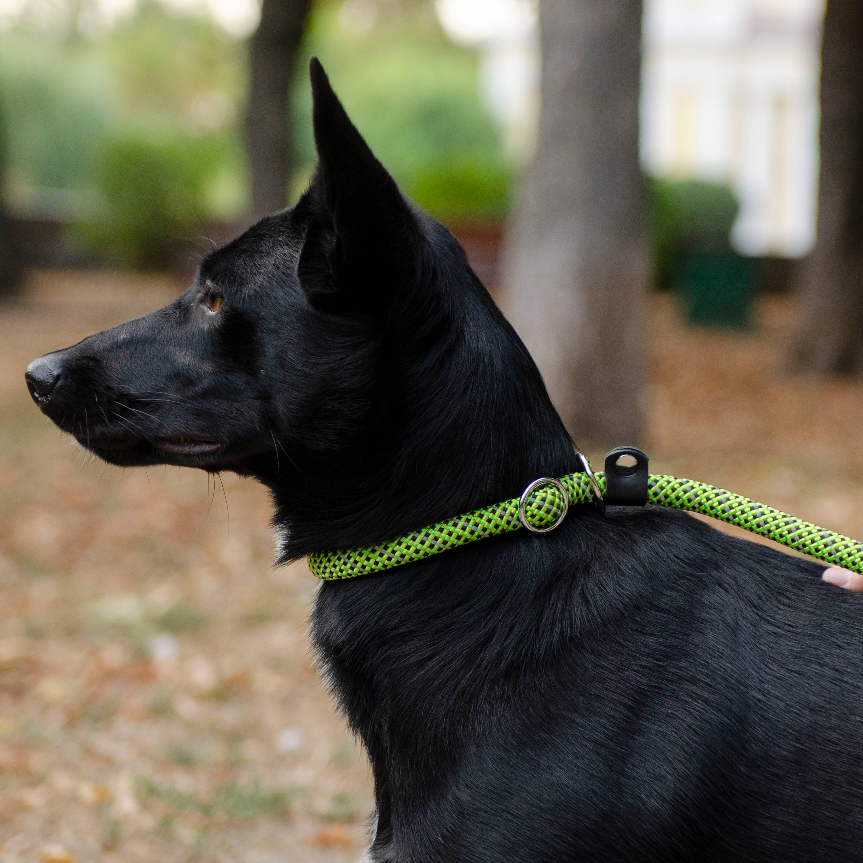 Ferplast - Ferplast Laisse et Collier pour Chien SPORT REFLEX, Laisse réfléchissante avec Collier semi etrangleur Ajustable, en cordon en nylon, Laisse avec - Imagen 5