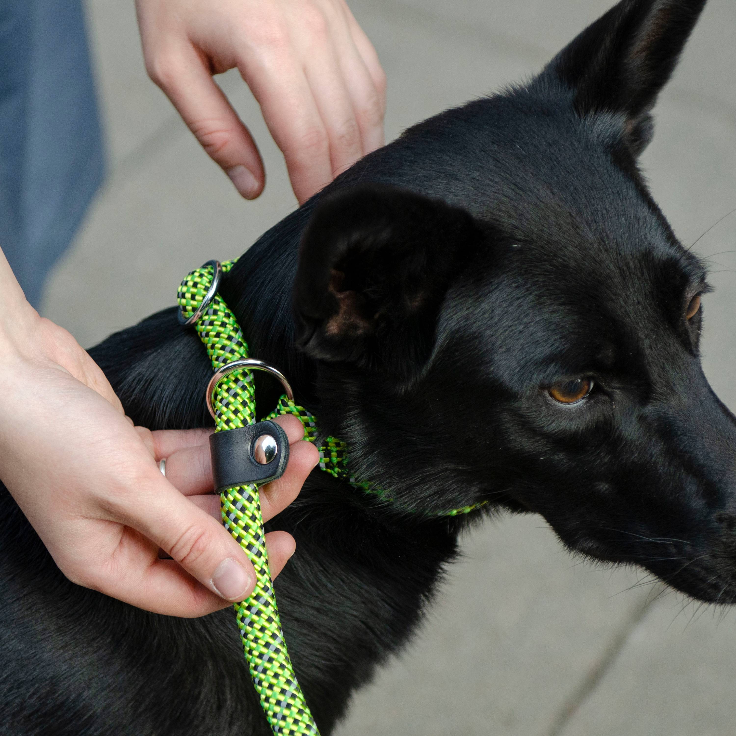 Ferplast - Ferplast Laisse et Collier pour Chien SPORT REFLEX, Laisse réfléchissante avec Collier semi etrangleur Ajustable, en cordon en nylon, Laisse avec - Imagen 4
