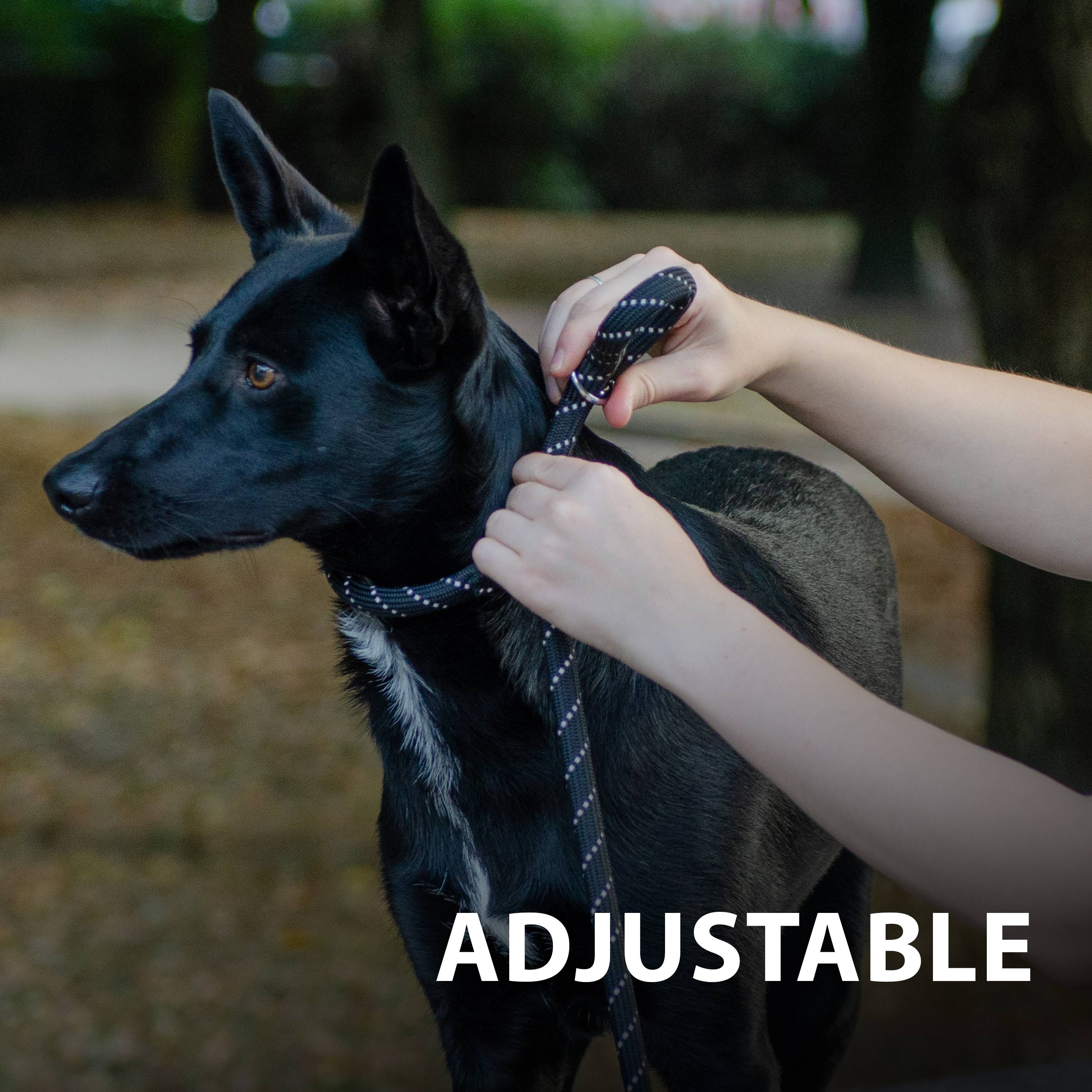 Ferplast - Ferplast Laisse et Collier pour Chien SPORT REFLEX, Laisse réfléchissante avec Collier semi etrangleur Ajustable, en cordon en nylon, Laisse avec - Imagen 9