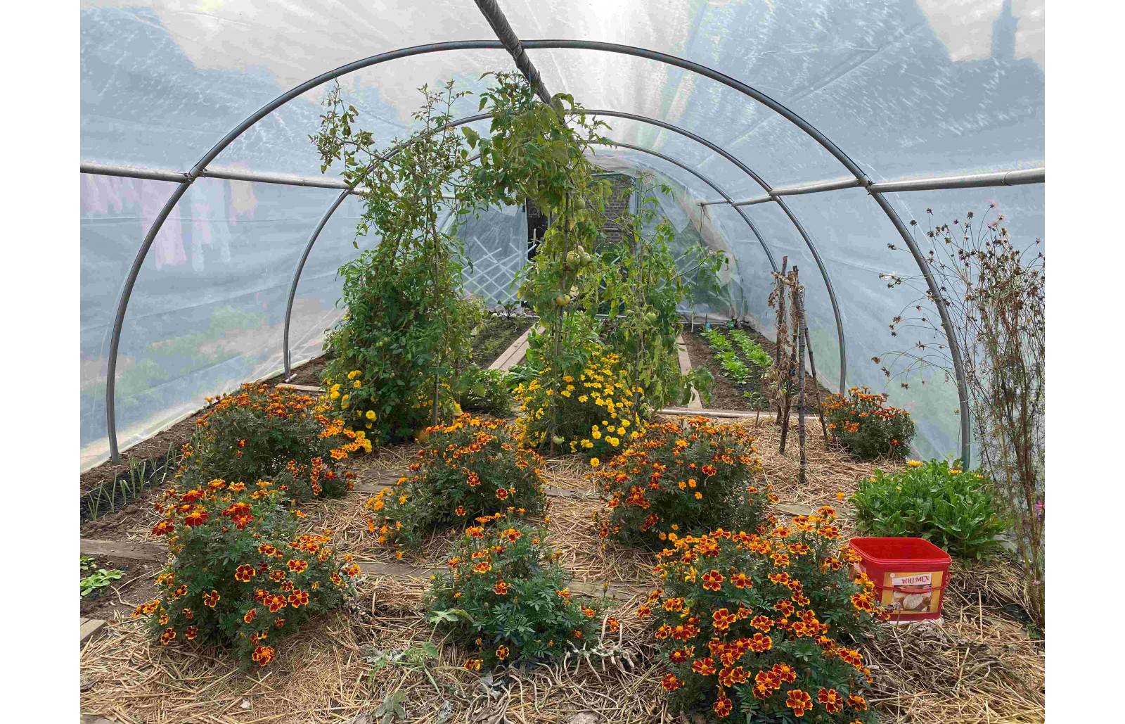 Serre tunnel de jardin - 24m² - 4 x 6 m - Abri Légumes - pieds arrondis - polyéthylène haute densité - 2 portes pivotantes - LES SERRES TONNEAU - Image 9