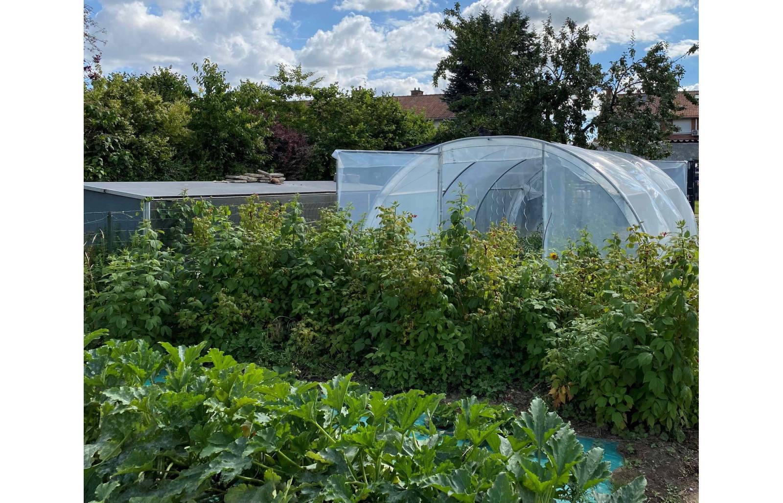 Serre tunnel de jardin - 24m² - 4 x 6 m - Abri Légumes - pieds arrondis - polyéthylène haute densité - 2 portes pivotantes - LES SERRES TONNEAU - Image 7