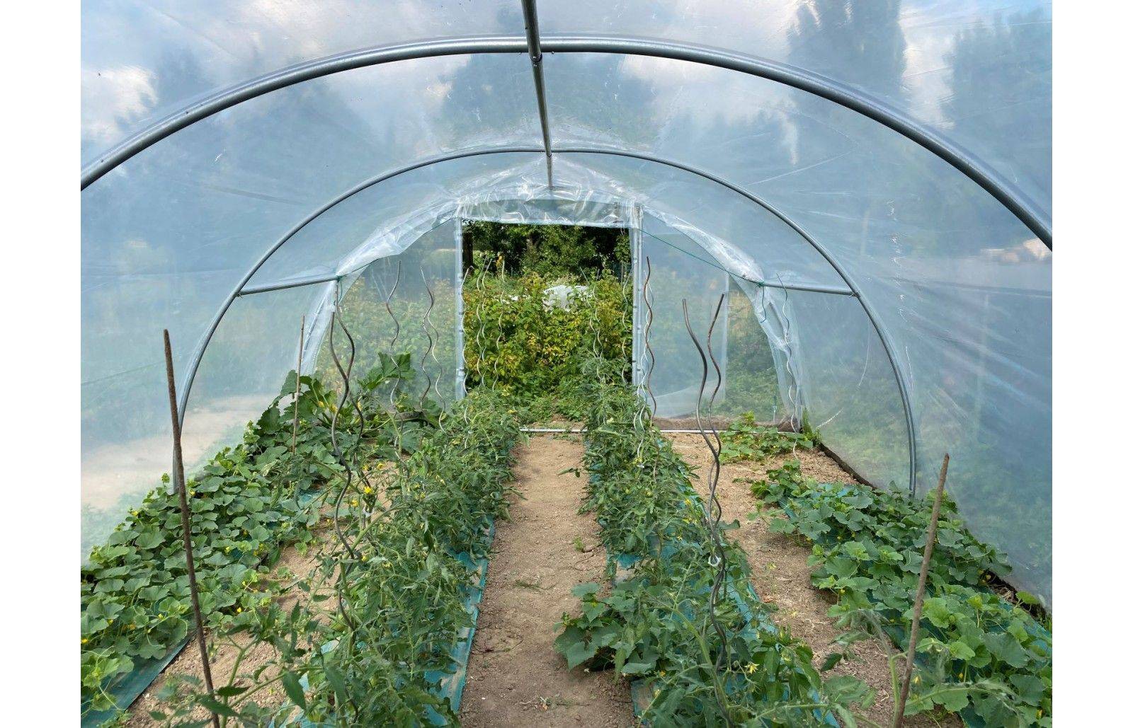 Serre tunnel de jardin - 24m² - 4 x 6 m - Abri Légumes - pieds arrondis - polyéthylène haute densité - 2 portes pivotantes - LES SERRES TONNEAU - Image 3