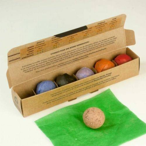 Pack de graines en bombe de 6 herbes aromatiques - Imagen 3