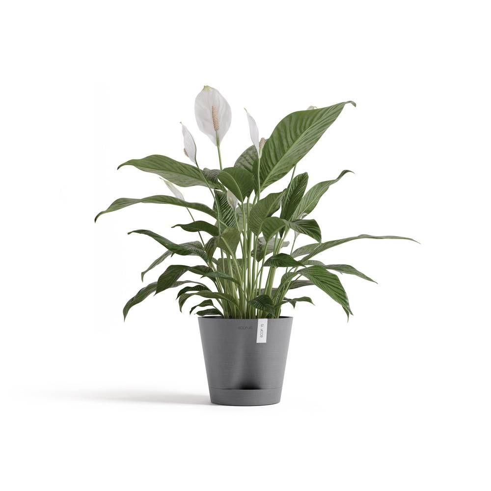 Ecopots - Pot Rond Venice 2 Gris + réservoir d'eau - Ø 20 x H. 17,5 cm - 4 L ECOPOTS