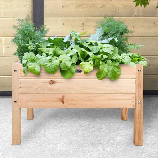 Esschert Design - Esschert Design - Carré potager pour enfant - Image 2