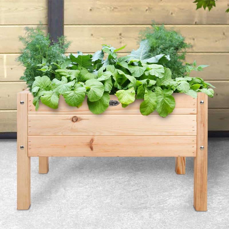 Esschert Design - Esschert Design - Carré potager pour enfant - Image 2