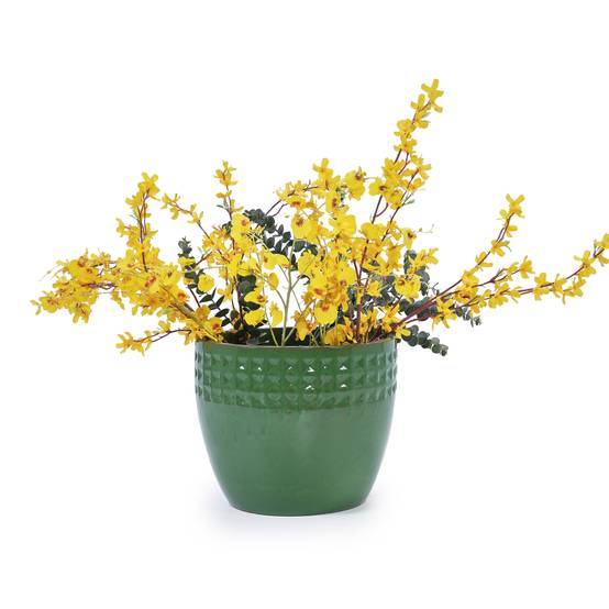 Ensemble de 3 pots de fleurs en céramique avec motif losange vert, Ø 38,1/30,5/22,9 cm - PANGIVO - Image 9
