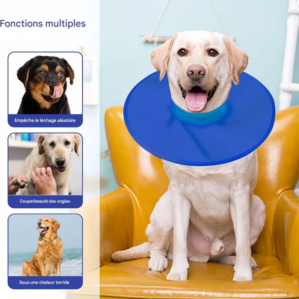 IntiMeg - Collerette de protection pour chien et chat M IntiMeg - Image 3