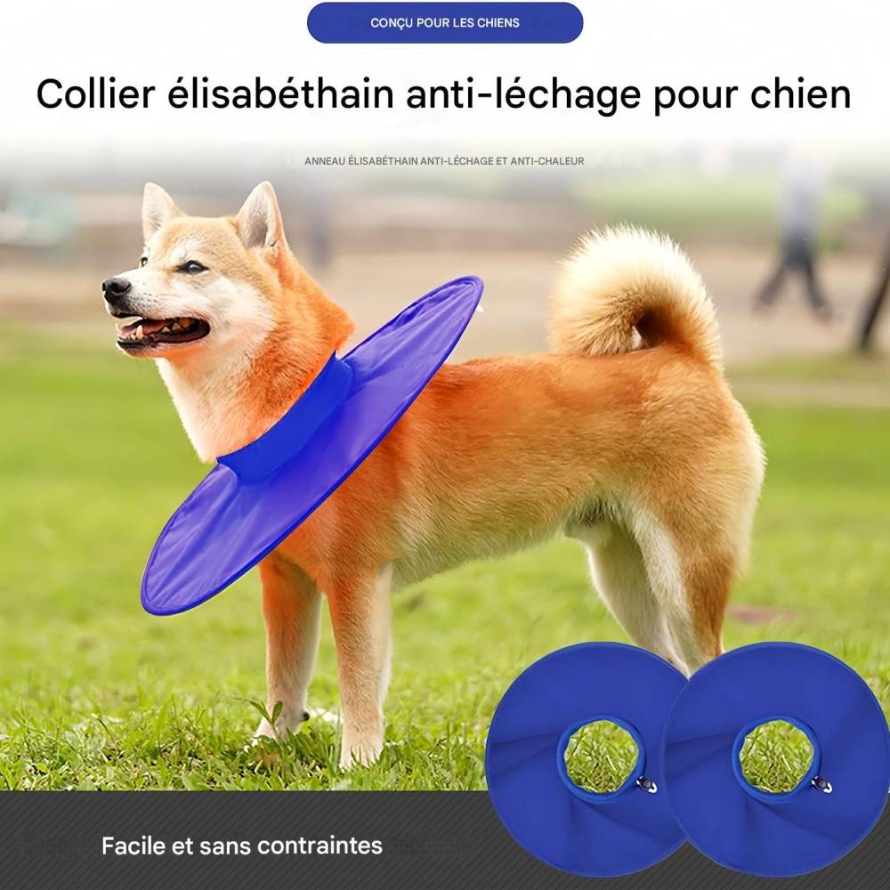 IntiMeg - Collerette de protection pour chien et chat M IntiMeg - Image 4