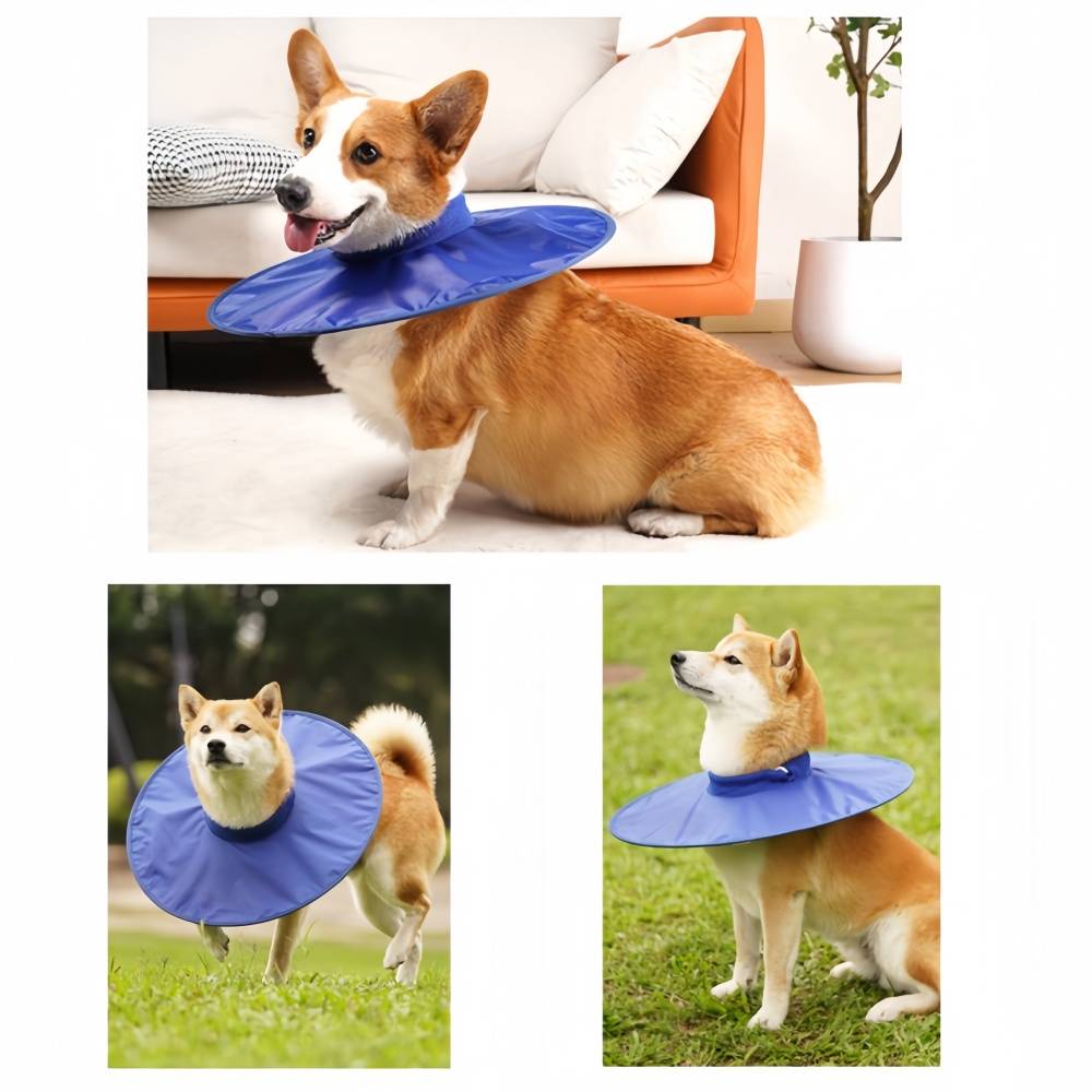 IntiMeg - Collerette de protection pour chien et chat M IntiMeg - Image 5