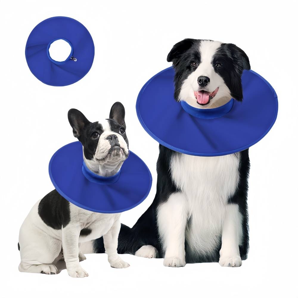 IntiMeg - Collerette de protection pour chien et chat M IntiMeg - Image 1