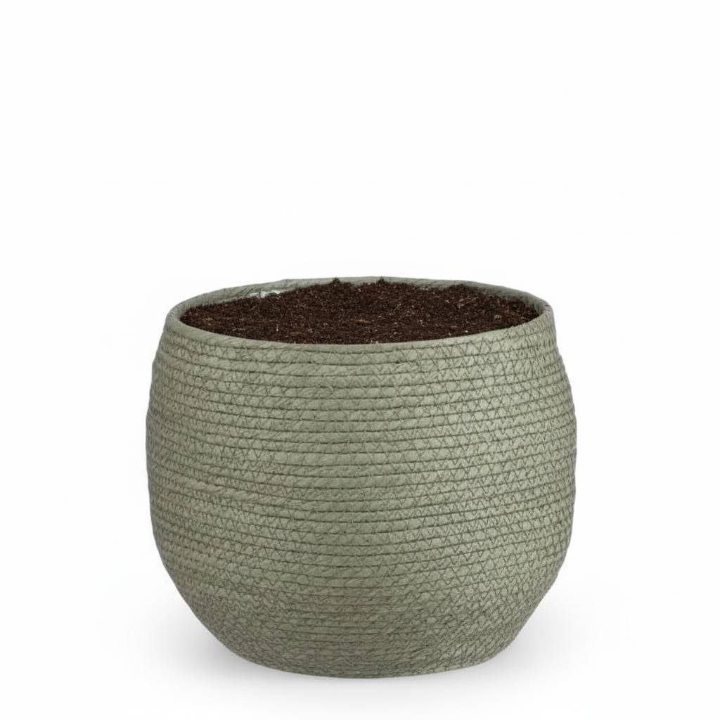 Cache-pot panier vert - D.26cm - Image 1