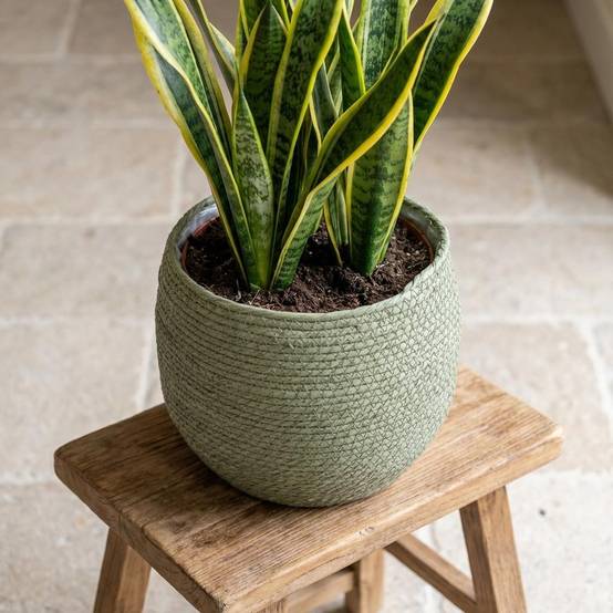 Cache-pot panier vert - D.26cm - Image 6