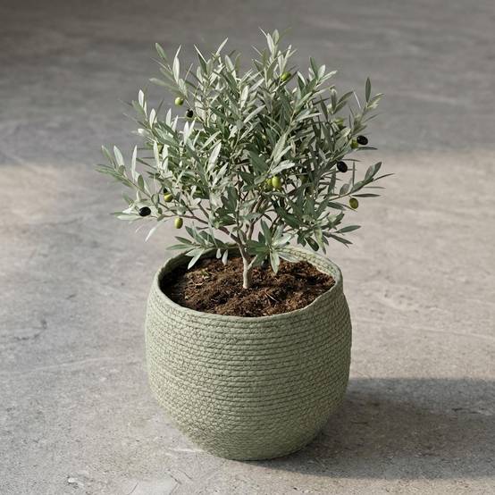 Cache-pot panier vert - D.26cm - Image 4