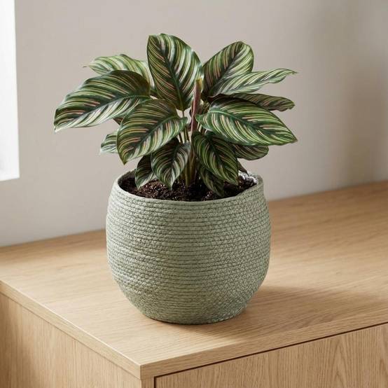 Cache-pot panier vert - D.26cm - Image 5
