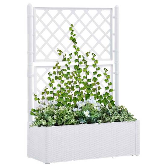 Lit surélevé de jardin avec treillis et système d'arrosage plastique blanc 100 x 43 x 142 cm - PANGIVO - Image 1