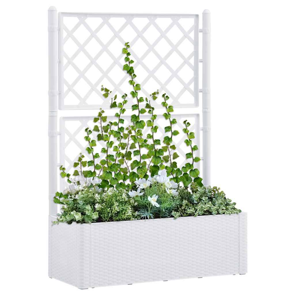 Lit surélevé de jardin avec treillis et système d'arrosage plastique blanc 100 x 43 x 142 cm - PANGIVO - Image 1