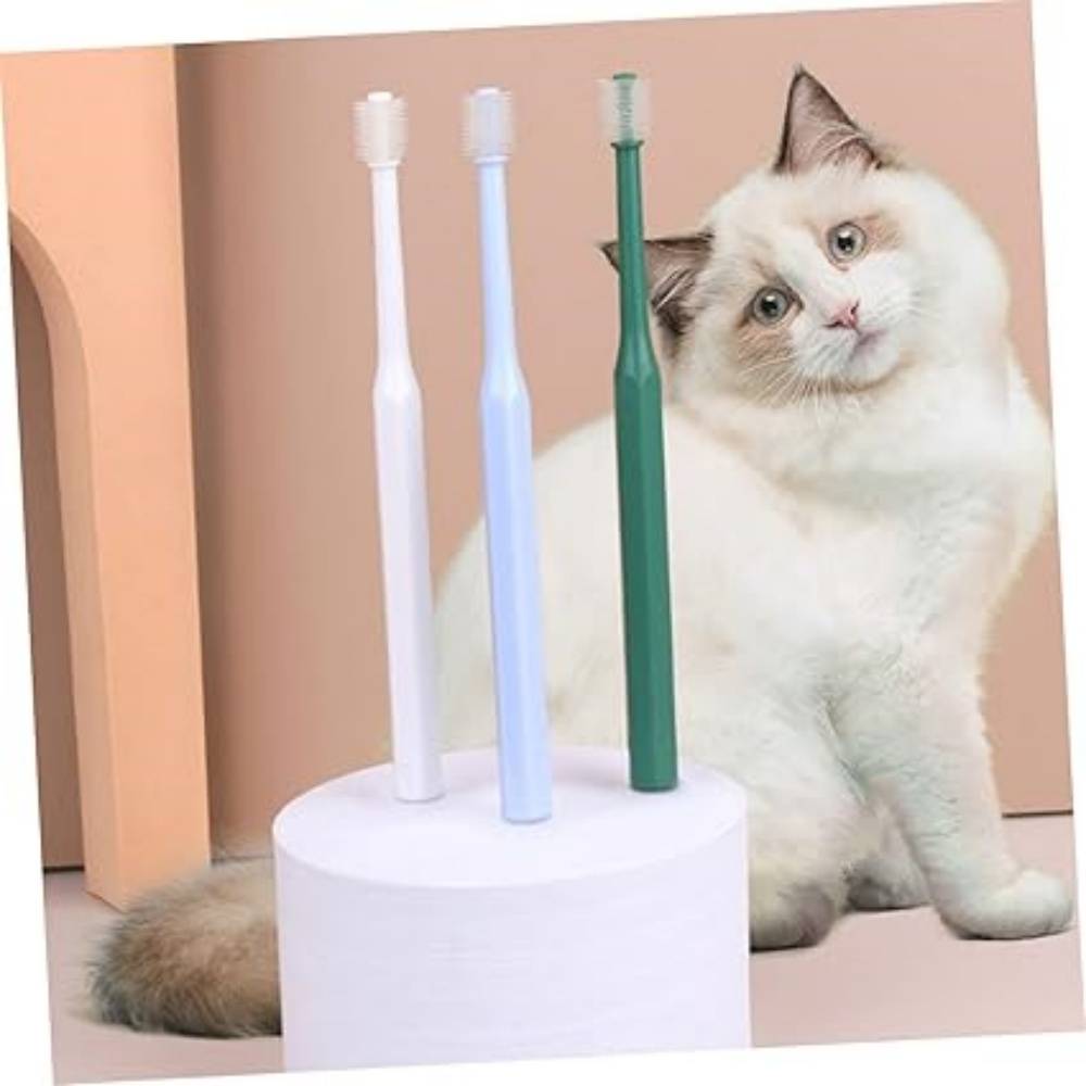 4 Pièces Pour Nettoyer Dents De Chat DtopbuyAge - Image 2