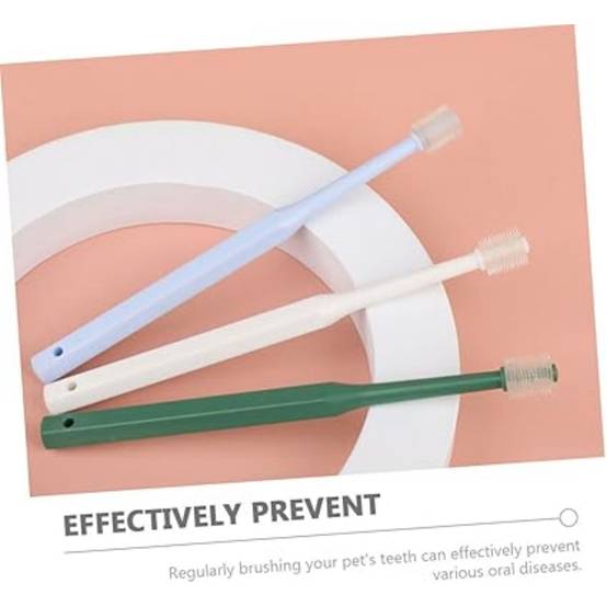 4 Pièces Pour Nettoyer Dents De Chat DtopbuyAge - Image 4