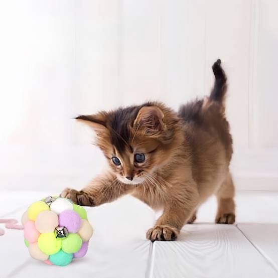 Jouets pour chats--Balle rebondissante pour chat avec herbe à chat et clochette - Jouet interactif - Living123 - Image 5