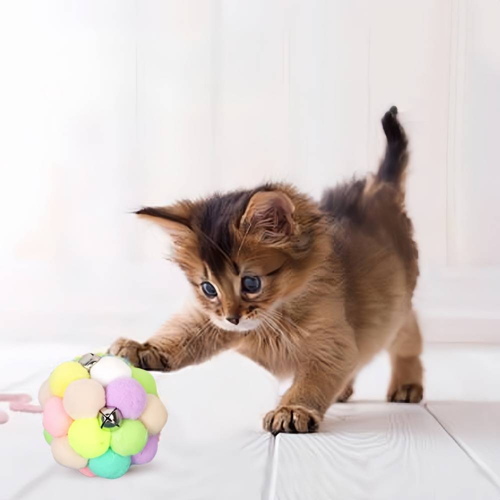 Jouets pour chats--Balle rebondissante pour chat avec herbe à chat et clochette - Jouet interactif - Living123 - Image 5