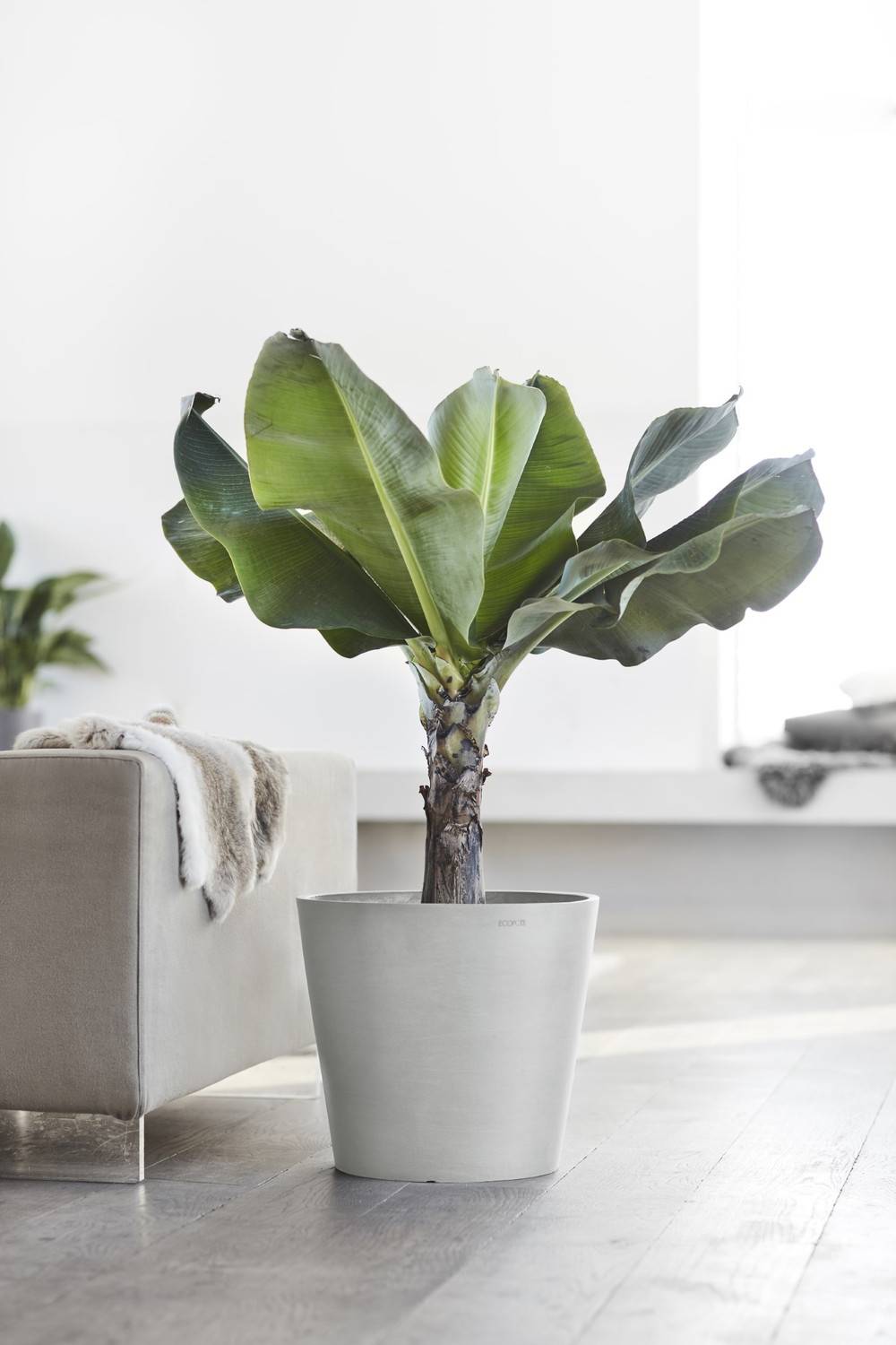 Ecopots - Pot Rond Amsterdam 40 Blanc Gris + réservoir d'eau - Ø 40 x H. 35 cm - 28 L ECOPOTS - Imagen 5