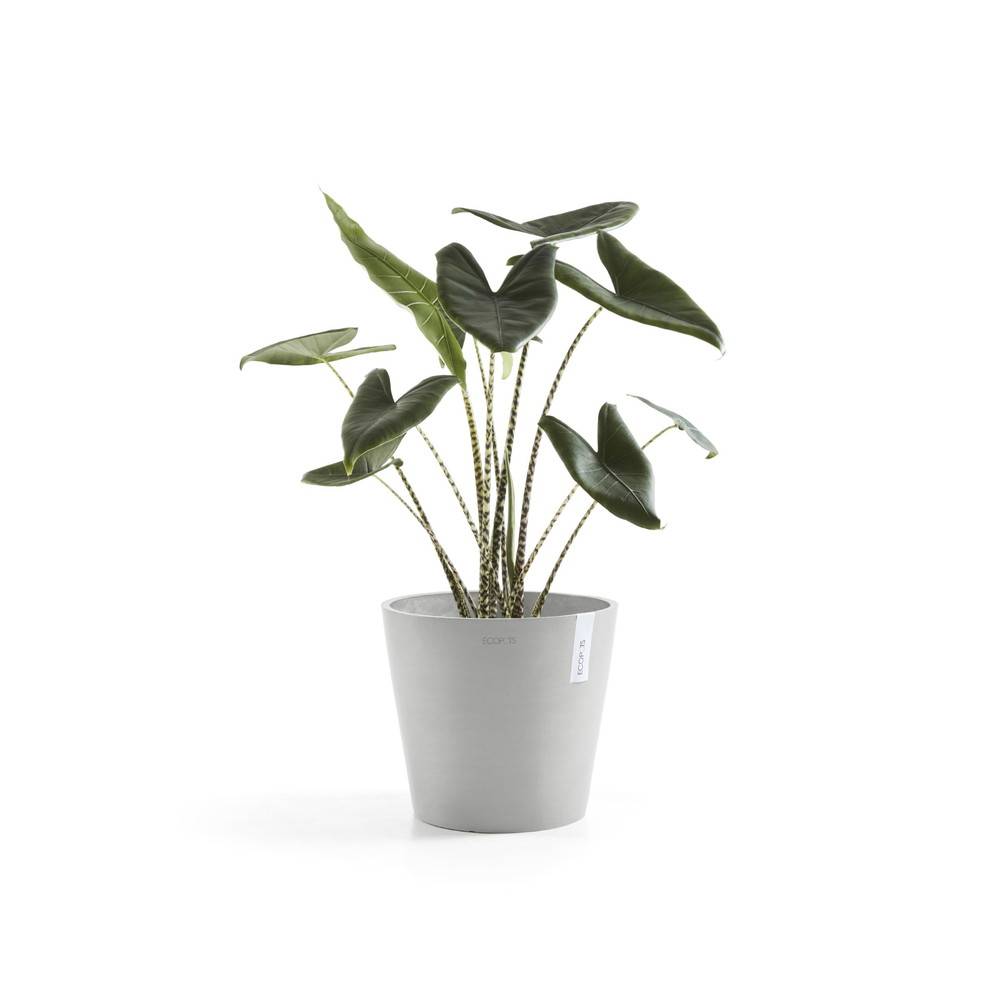 Ecopots - Pot Rond Amsterdam 40 Blanc Gris + réservoir d'eau - Ø 40 x H. 35 cm - 28 L ECOPOTS - Imagen 1