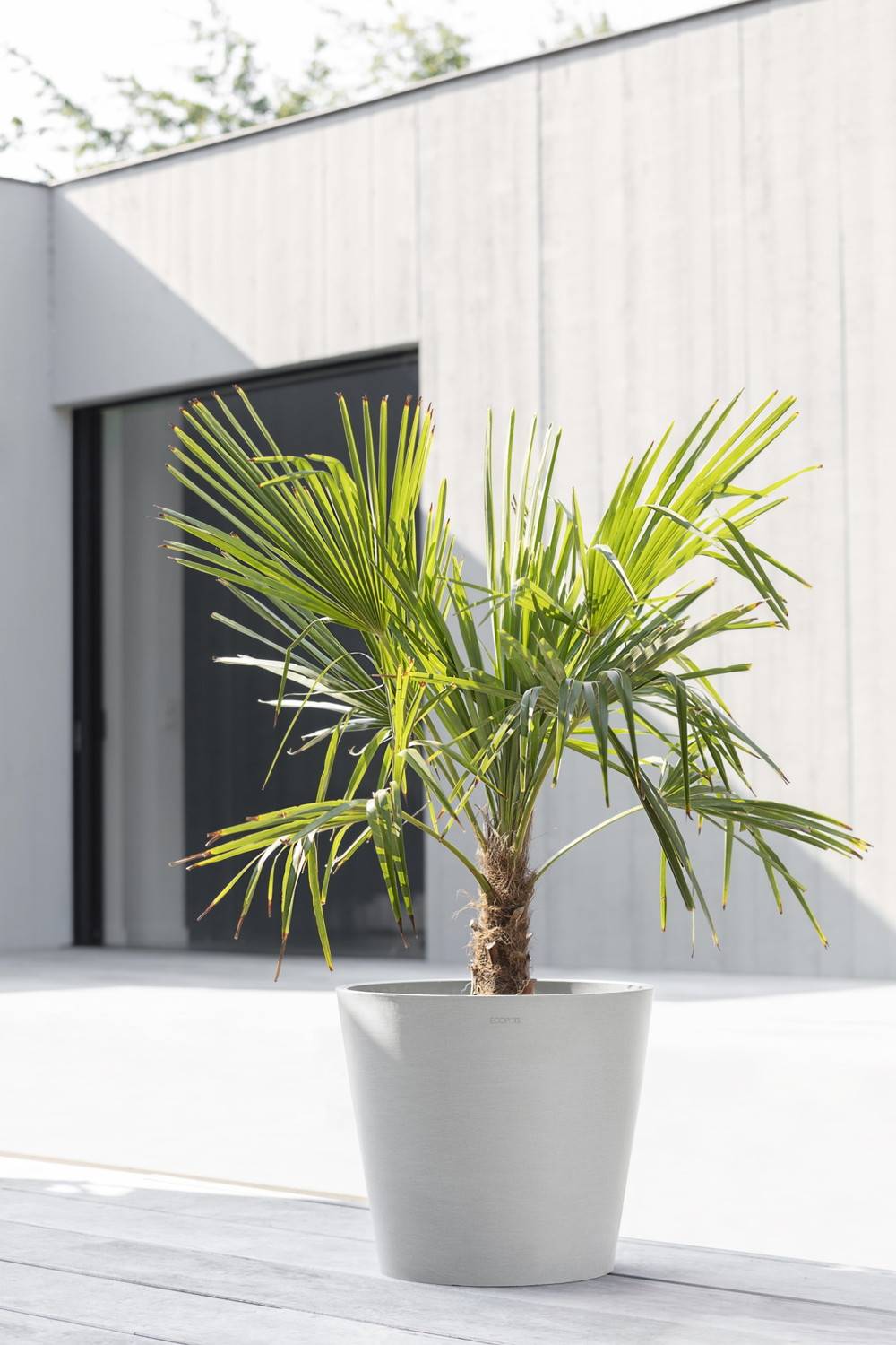 Ecopots - Pot Rond Amsterdam 40 Blanc Gris + réservoir d'eau - Ø 40 x H. 35 cm - 28 L ECOPOTS - Imagen 4