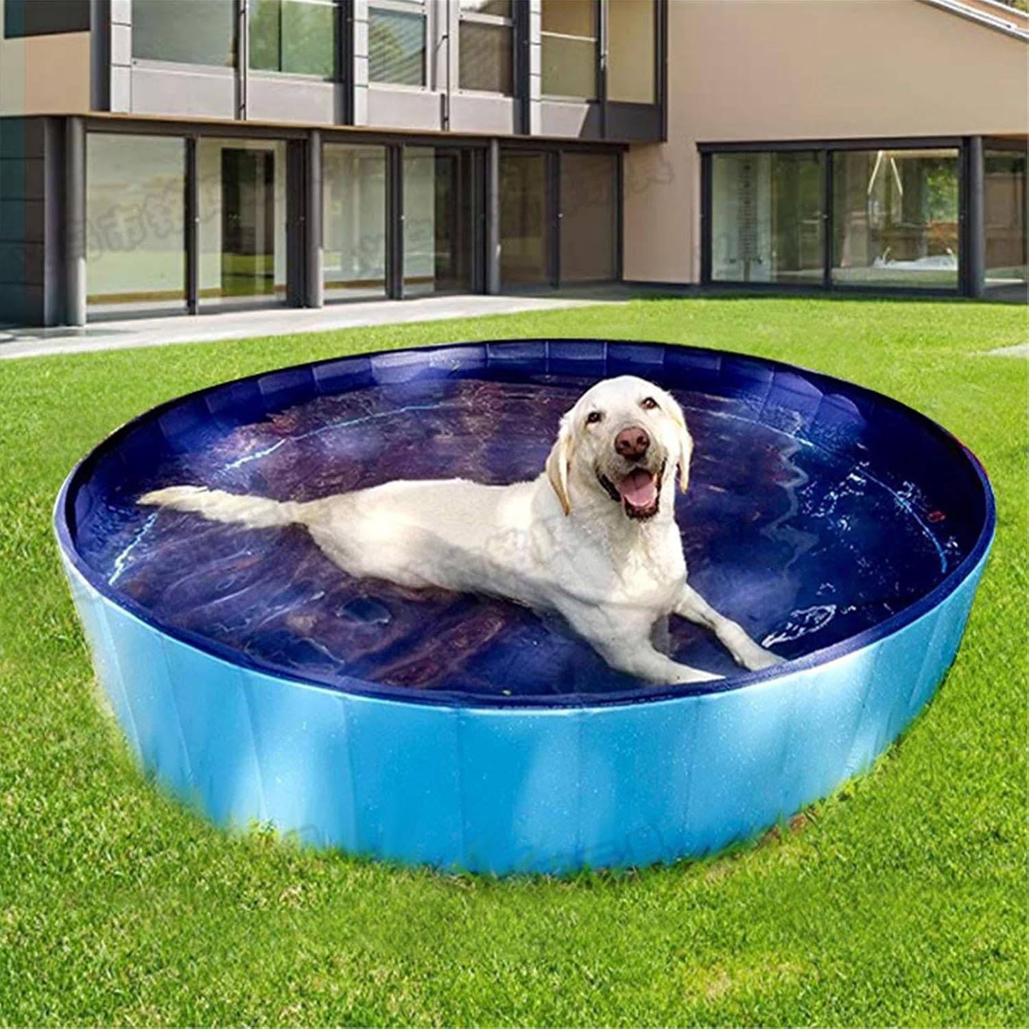 Piscine pour chien，Baignoire pliable  de compagnie, piscine extérieure pliable pour chiens, chats, enfants, antidérapante, bleue, 100 x 30 cm-Lytech