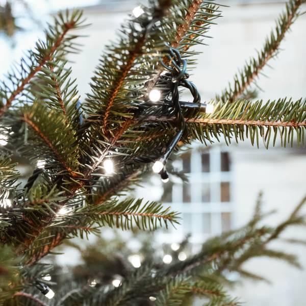 Lotti - Guirlande lumineuse verte 18,5M 450 LED blanc froid 8 animations minuteur extérieur Lotti - Imagen 7