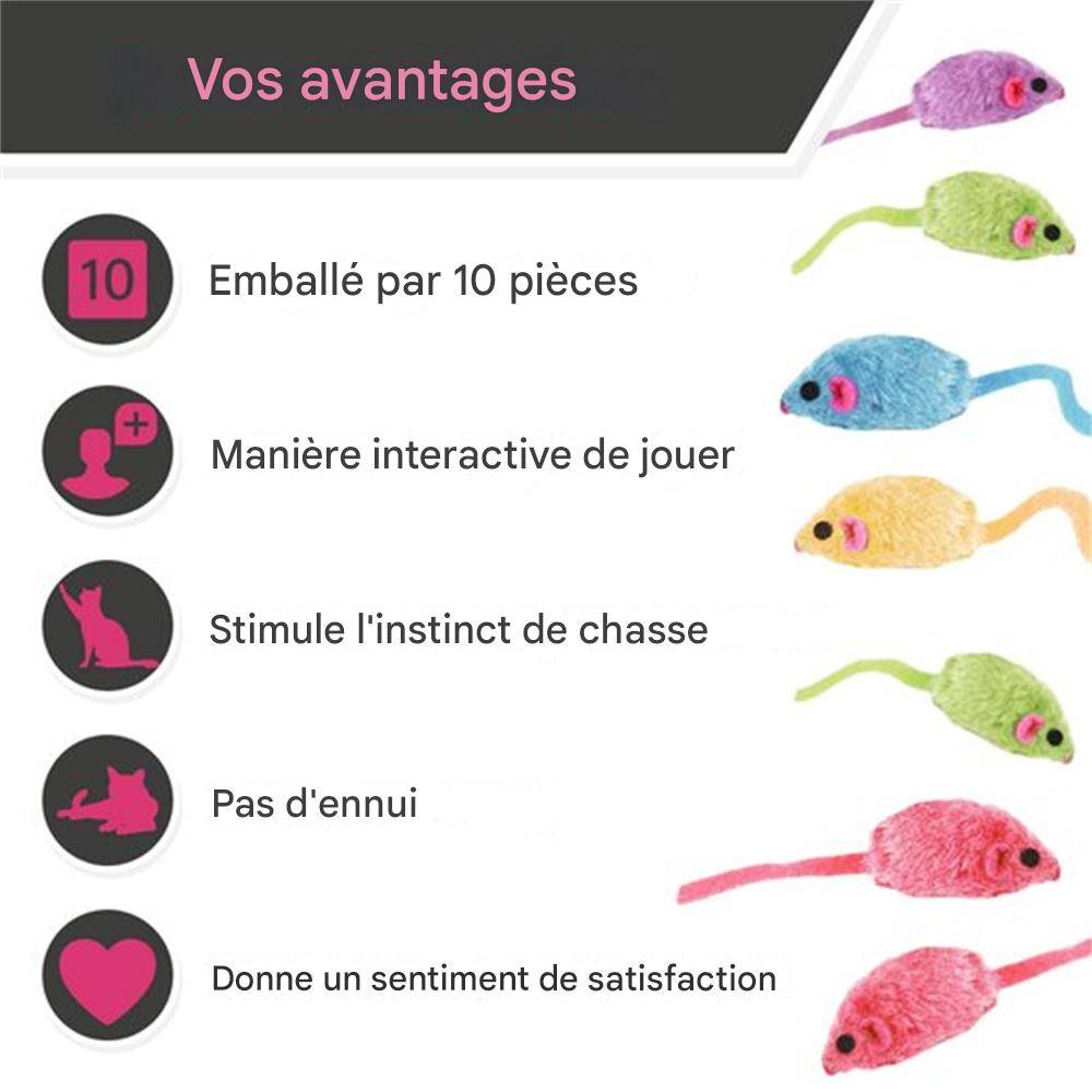 DtopbuyAge - Jeu de 10 souris peluche pour chats DtopbuyAge - Image 2