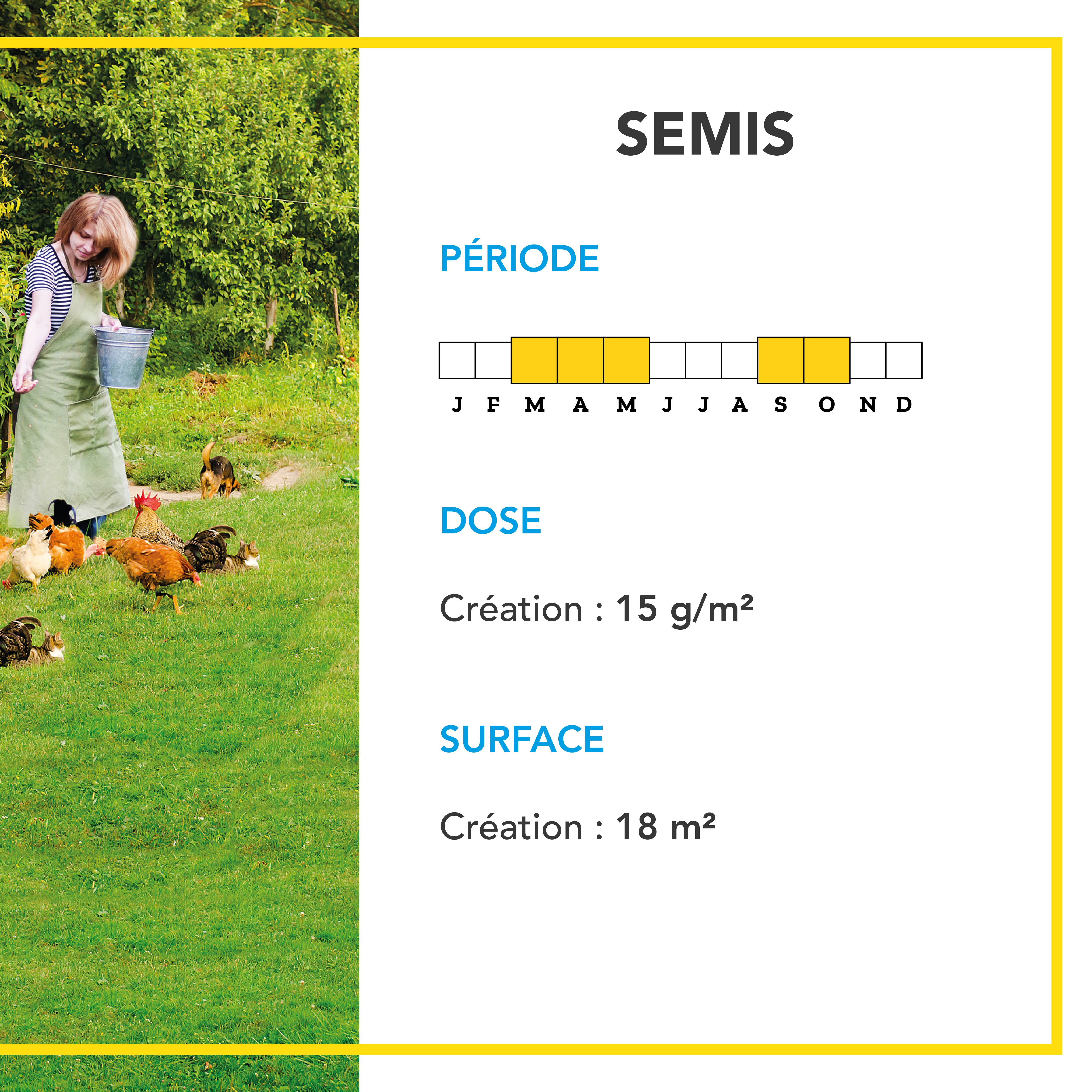 Barenbrug - Mélange Basse-cour - Améliore Bien-Être Animal - Production d'Œufs de Qualité - 250G - BARENBRUG - Image 4
