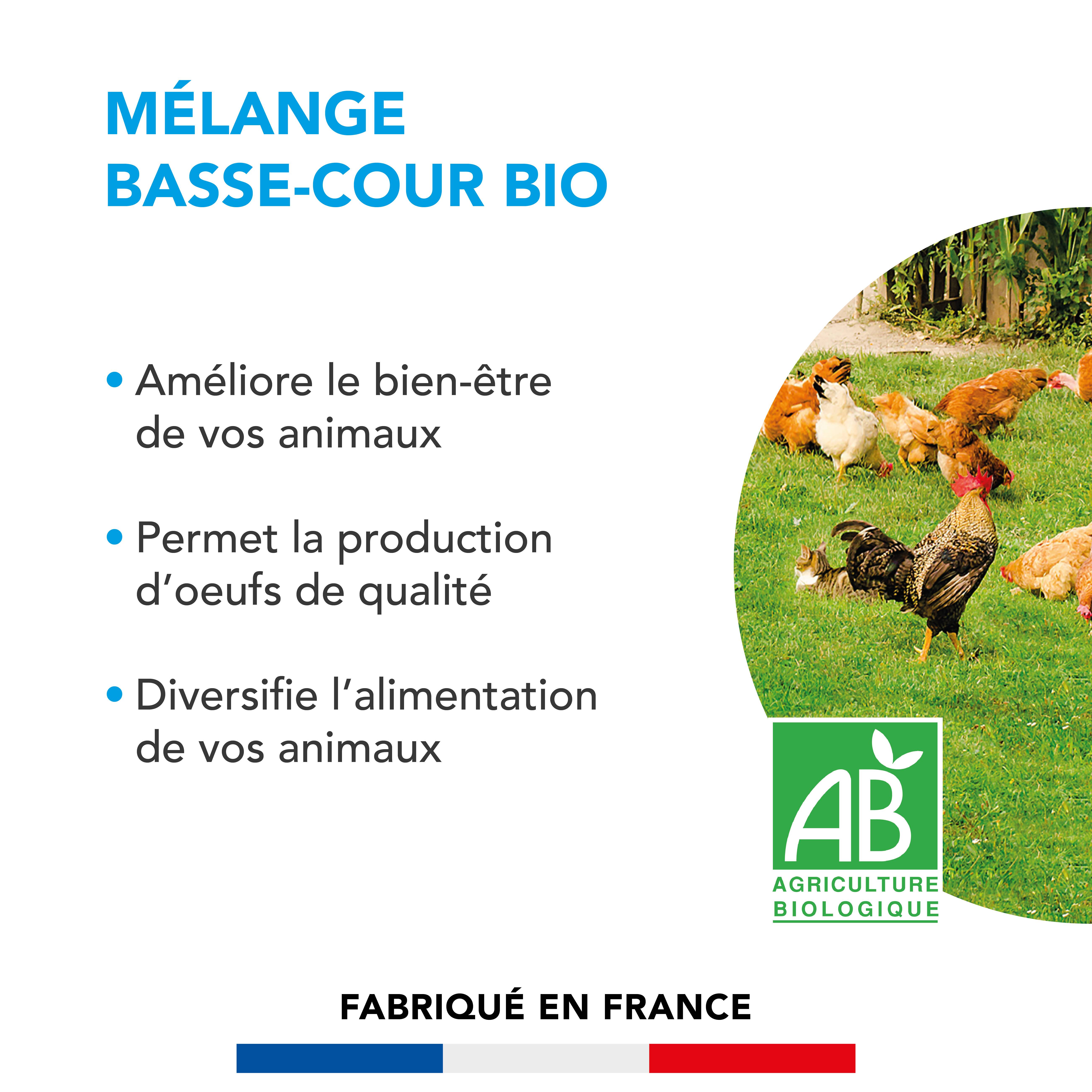 Barenbrug - Mélange Basse-cour - Améliore Bien-Être Animal - Production d'Œufs de Qualité - 250G - BARENBRUG - Image 2