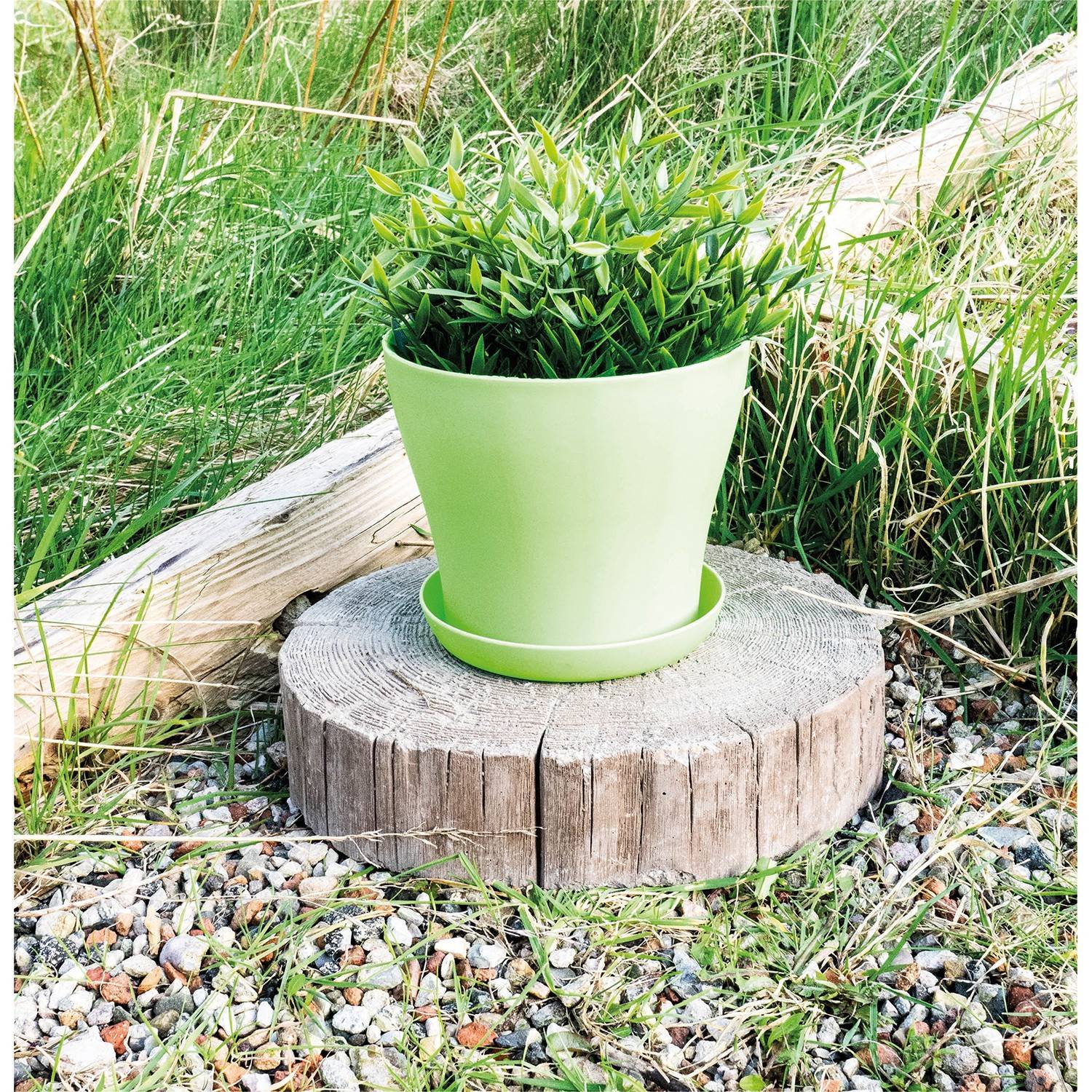 Pot de fleurs St Helens Home and Garden GH628GR - de couleur VERT - en plastique  - 16 x 12,5 cm - Image 4
