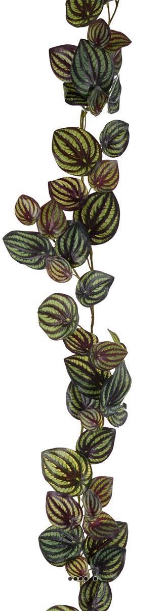 Artificielles - Guirlande factice ramifiée Vert Foncé, feuilles de Peperomia H 180 cm - Imagen 3
