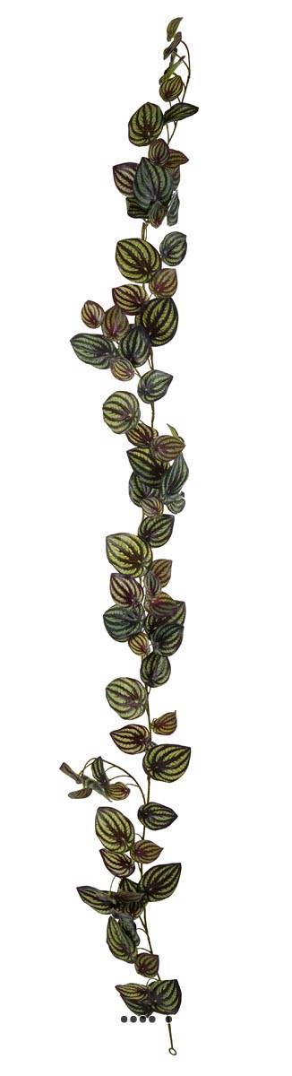 Artificielles - Guirlande factice ramifiée Vert Foncé, feuilles de Peperomia H 180 cm - Imagen 2