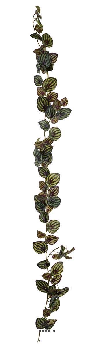 Artificielles - Guirlande factice ramifiée Vert Foncé, feuilles de Peperomia H 180 cm - Imagen 1