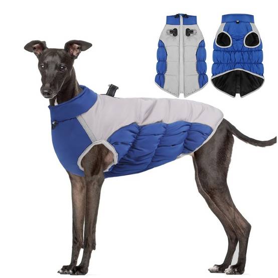 Manteau chaud pour chien d'hiver avec anneau en D pratique - Lytech - Image 1