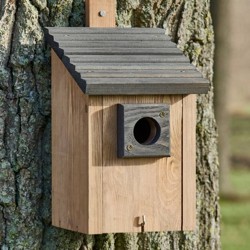 Mangeoire oiseaux extérieur à suspendre pour oiseaux sauvages en bois massif toit pente gris - Image 1
