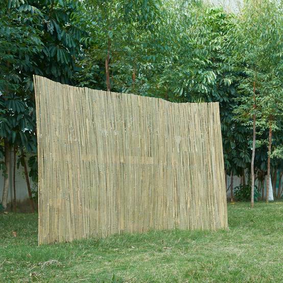 Casa.Pro - Canisse en bambou Baarle 150 x 500 cm naturel casa.pro - Image 2