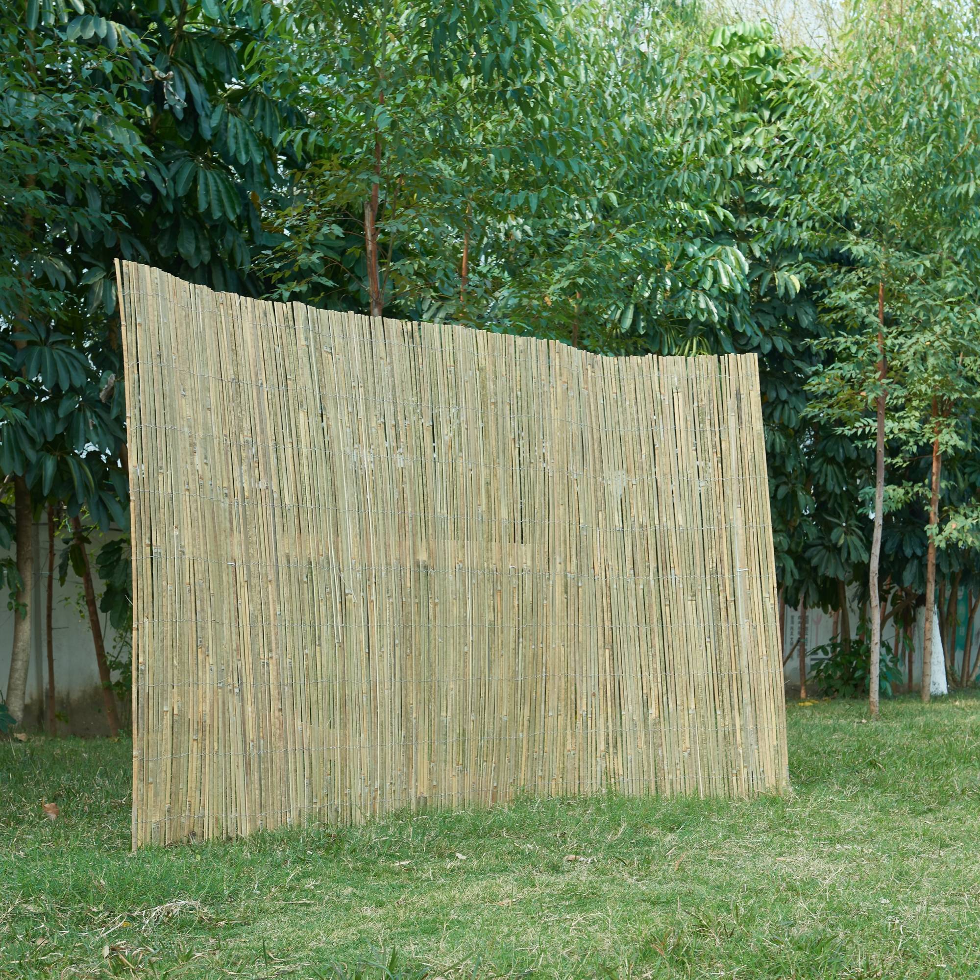 Casa.Pro - Canisse en bambou Baarle 150 x 500 cm naturel casa.pro - Image 2