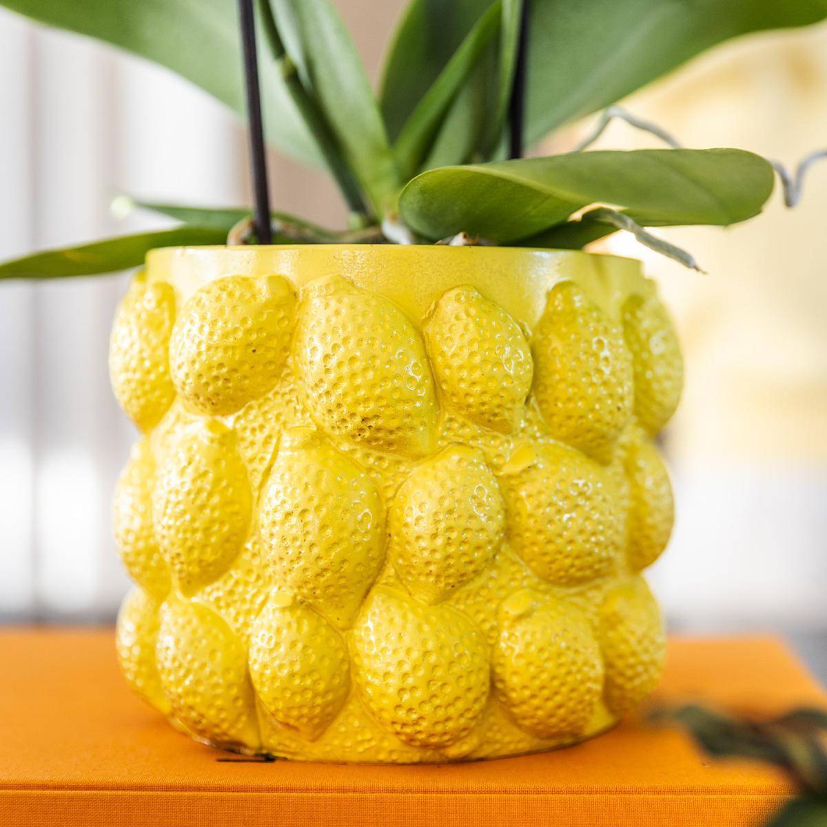 Pot à Agrumes en Céramique Jaune- La Green Touch - Imagen 4