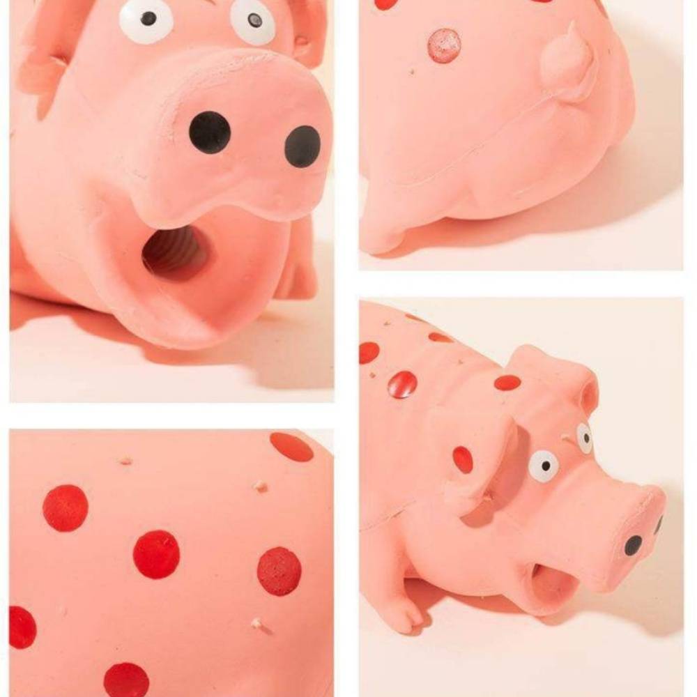 IntiMeg - Jouet cochon en latex IntiMeg - Image 4