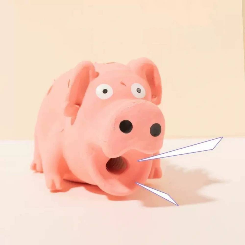 IntiMeg - Jouet cochon en latex IntiMeg - Image 2