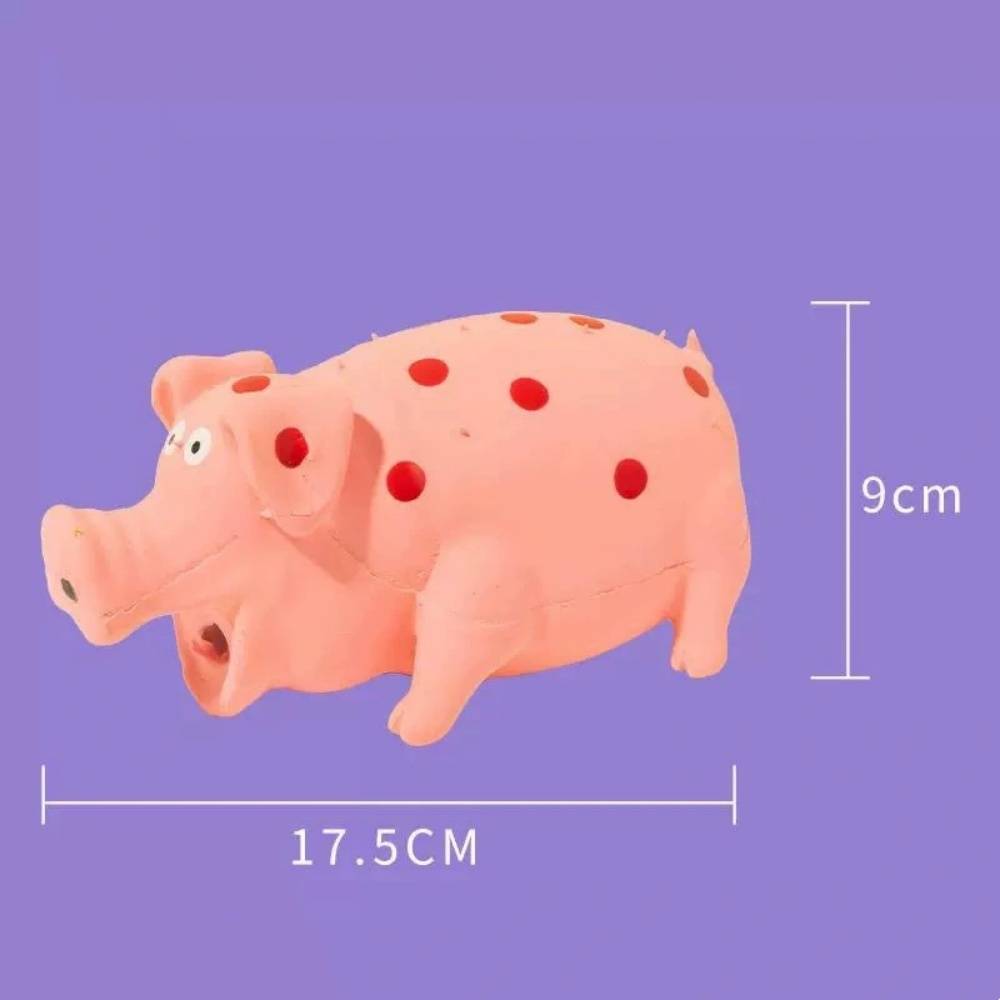 IntiMeg - Jouet cochon en latex IntiMeg - Image 3