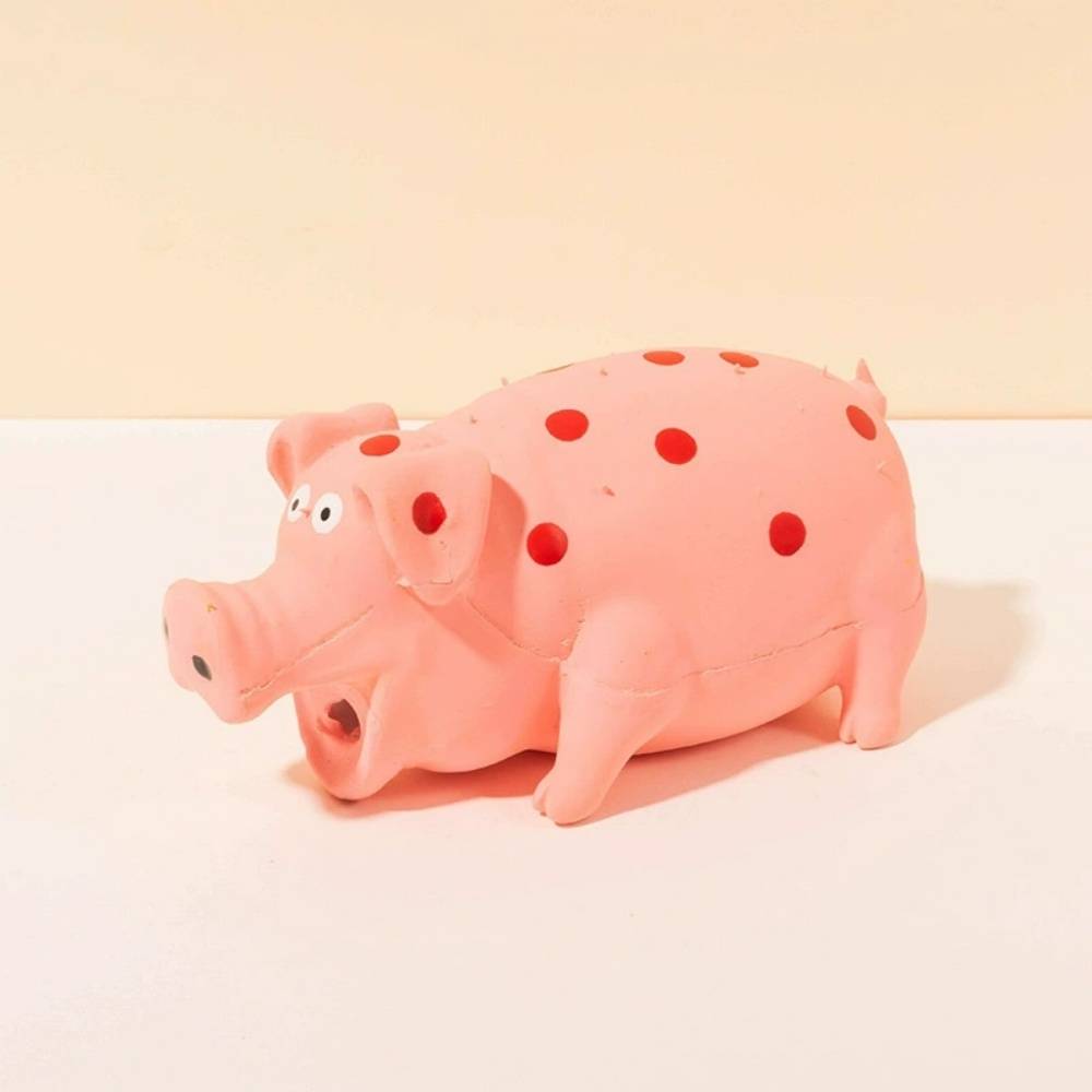 IntiMeg - Jouet cochon en latex IntiMeg - Image 1