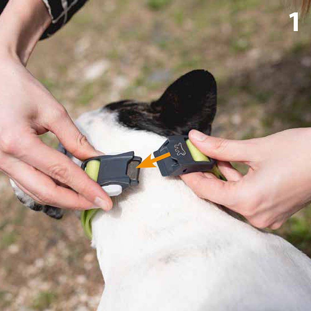 Ferplast - Collier pour Chiens EVOLUTION C25/70 avec Boucle Magnétique, Hypoallergénique, Lavable, Violet - Imagen 3