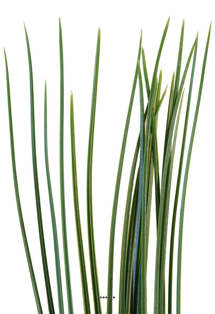 Artificielles - Isolepsis artificiel en plastique Vert H 53 cm tête large - Imagen 4